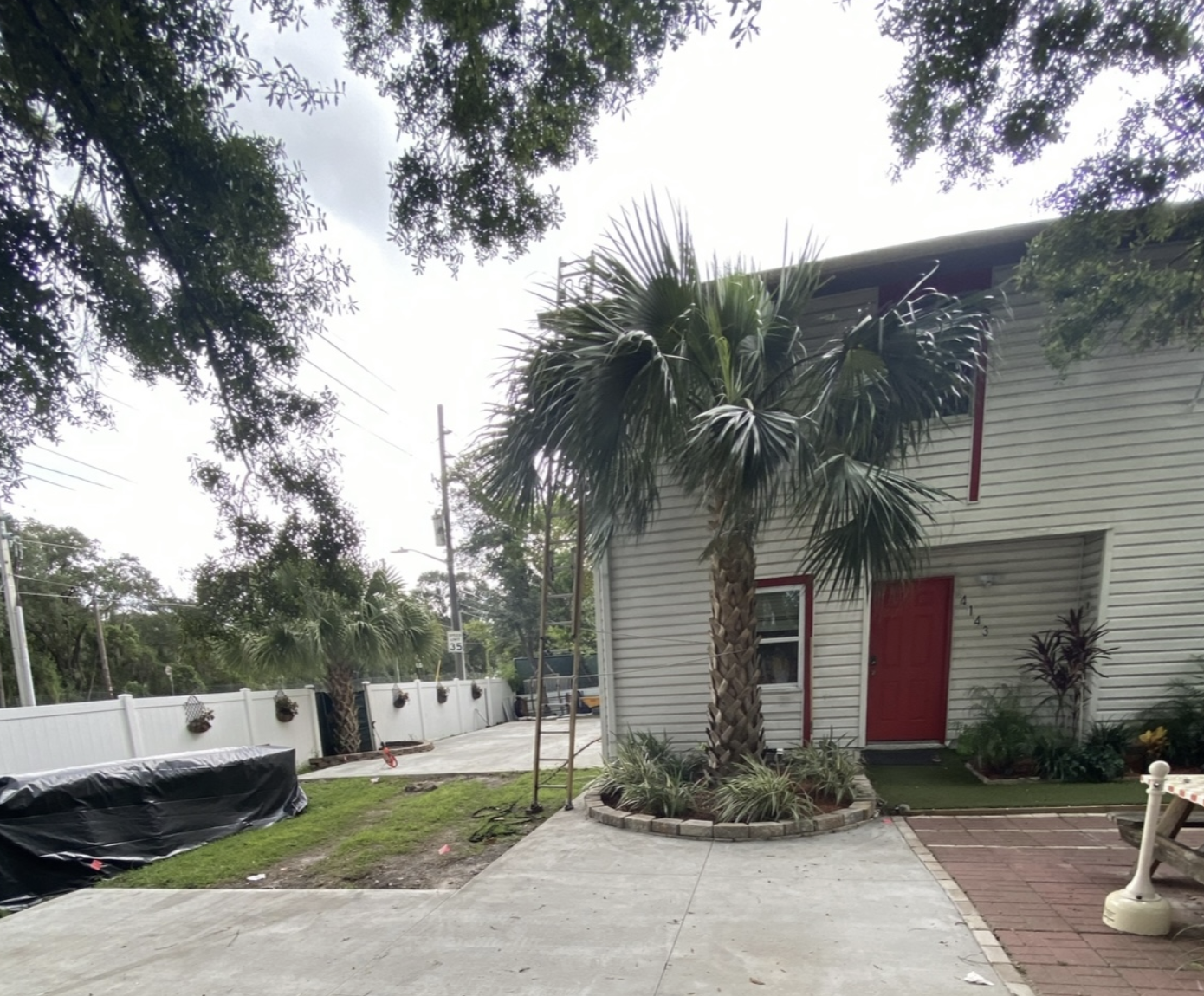 Residential property with a red door, palm tree, and landscaped garden area, showcasing new concrete driveway and walkway installation in a Central Florida setting.